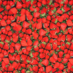 Luxury Digital Printed Cotton Jersey Fabric Material - STRAWBERRIES