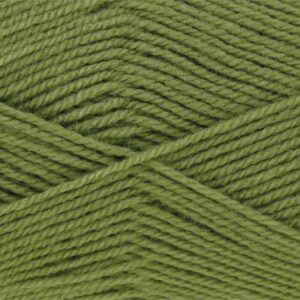 King Cole PRICEWISE DK Double Knitting Yarn Wool 100g 272 GRASS