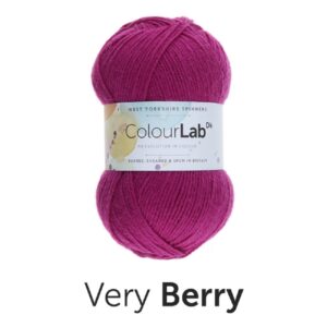 West Yorkshire Spinners Colourlab DK Yarn Wool - 647 Very Berry