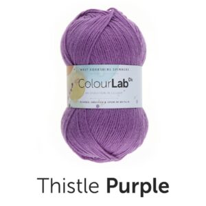 West Yorkshire Spinners Colourlab DK Yarn Wool - 717 Thistle Purple