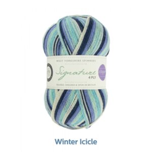 WYS Signature 4 ply Seasons Range Knitting Wool Yarn 100g - 878 Winter Icicle
