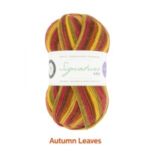WYS Signature 4 ply Seasons Knitting Wool Yarn 100g - 885 Autumn Leaves