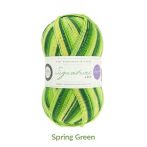 WYS Signature 4 ply Seasons Knitting Wool Yarn 100g - 882 Spring Green