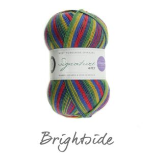 WYS Signature 4 ply Knitting Wool Yarn 100g - 874 Bright Side