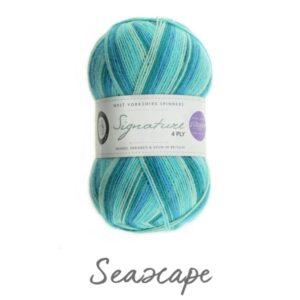 WYS Signature 4 ply Knitting Wool Yarn 100g - 873 Seascape