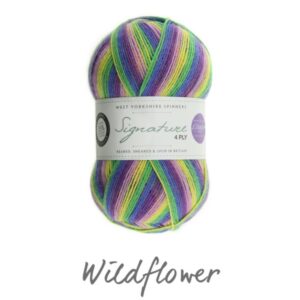 WYS Signature 4 ply Knitting Wool Yarn 100g - 872 Wildflower