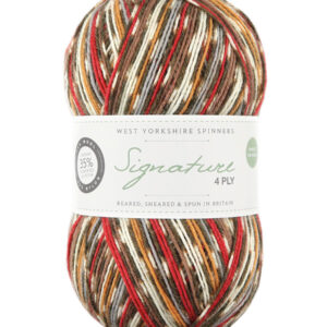 WYS Signature 4 ply Birds Knitting Wool Yarn 100g - 941 Robin