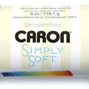 Caron Simply Soft BRITES Acrylic Aran Knitting Yarn 170g - 9604 Watermelon