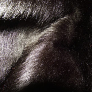 Plain Fun Faux Fur Fabric Material - DK BROWN BRUNO