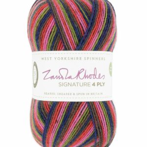 WYS Signature 4 ply Florist Knitting Wool Yarn 100g - 1026 Forest Stripes