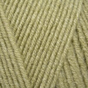 Sirdar Hayfield SOFT TWIST DK Wool Yarn 100g- 256 Fern