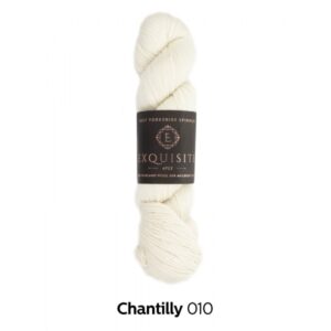 West Yorkshire Spinners EXQUISITE 4PLY Hank Wool Yarn 100g - 010 Chantilly