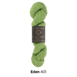 West Yorkshire Spinners EXQUISITE 4PLY Hank Wool Yarn 100g - 401 Eden