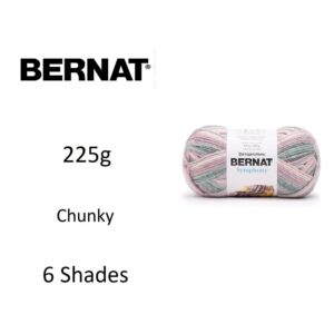 Bernat Symphony Wool Knitting Yarn 225g