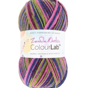 West Yorkshire Spinners Colourlab DK Yarn Wool 100g - 1031 Woodland Awakening